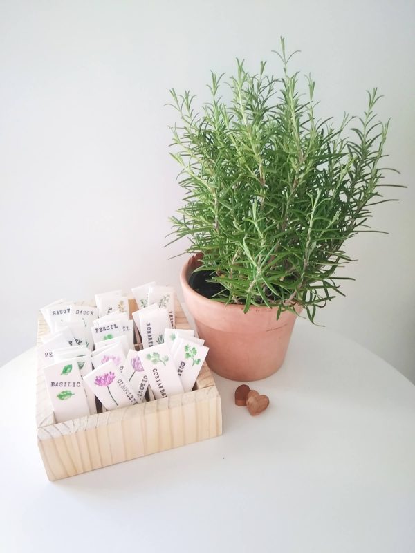 marqueur etiquettes plantes aromatiques 4